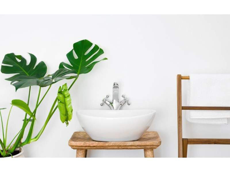 Bath with indoor plants and flowers